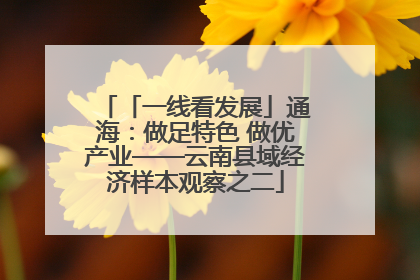 「一线看发展」通海：做足特色 做优产业——云南县域经济样本观察之二