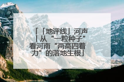 「地评线」河声丨从“一粒种子”看河南“两高四着力”的落地生根