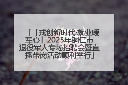 「戎创新时代·就业暖军心」2025年铜仁市退役军人专场招聘会暨直播带岗活动顺利举行