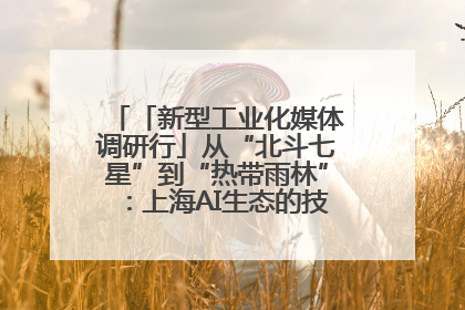 「新型工业化媒体调研行」从“北斗七星”到“热带雨林”：上海AI生态的技术商业共生密码