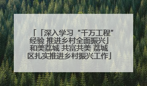 「深入学习“千万工程”经验 推进乡村全面振兴」和美荔城 共富共美 荔城区扎实推进乡村振兴工作