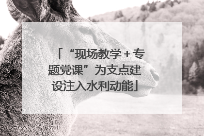 “现场教学＋专题党课”为支点建设注入水利动能