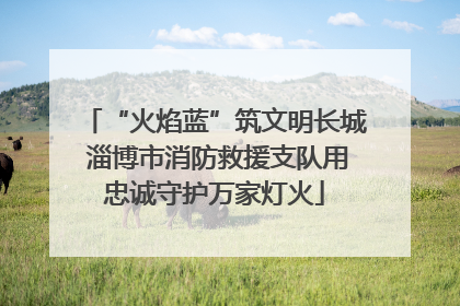“火焰蓝”筑文明长城 淄博市消防救援支队用忠诚守护万家灯火
