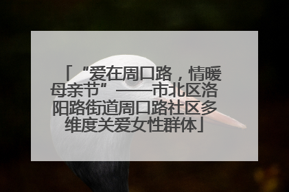 “爱在周口路，情暖母亲节”——市北区洛阳路街道周口路社区多维度关爱女性群体