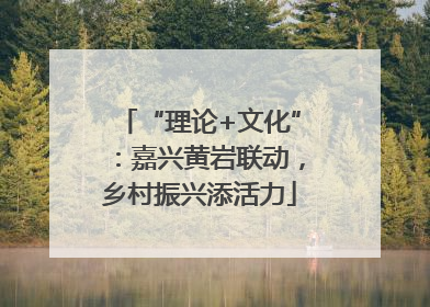 “理论+文化”：嘉兴黄岩联动，乡村振兴添活力