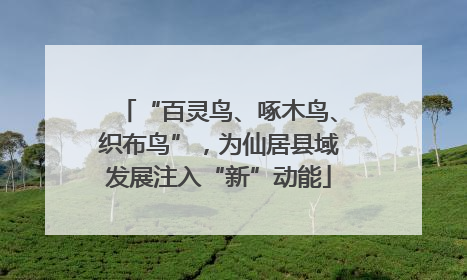 “百灵鸟、啄木鸟、织布鸟”，为仙居县域发展注入“新”动能