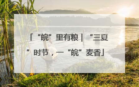 “皖”里有粮｜“三夏”时节，一“皖”麦香