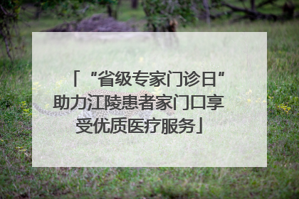 “省级专家门诊日”助力江陵患者家门口享受优质医疗服务