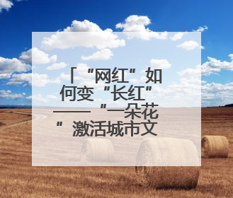 “网红”如何变“长红”——“一朵花”激活城市文化基因的破题之路