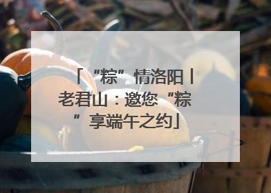 “粽”情洛阳丨老君山：邀您“粽”享端午之约