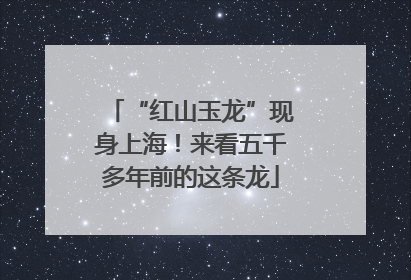 “红山玉龙”现身上海！来看五千多年前的这条龙