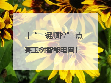 “一键顺控” 点亮玉树智能电网