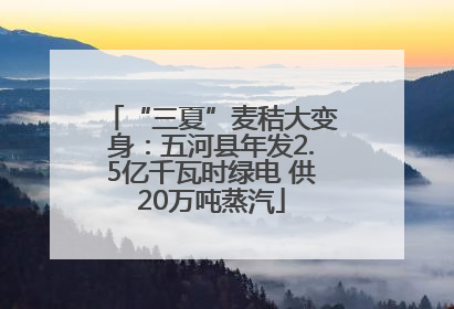 “三夏”麦秸大变身：五河县年发2.5亿千瓦时绿电 供20万吨蒸汽
