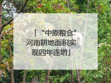 “中原粮仓”河南耕地面积实现四年连增