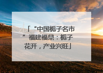 “中国栀子名市”福建福鼎：栀子花开，产业兴旺