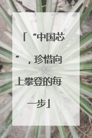 “中国芯”，珍惜向上攀登的每一步