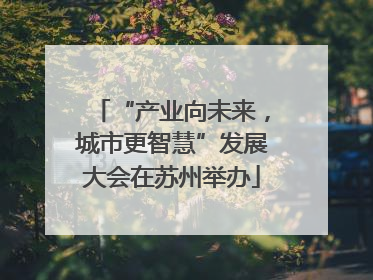“产业向未来，城市更智慧”发展大会在苏州举办