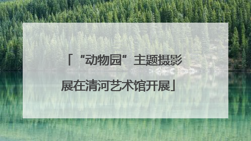 “动物园”主题摄影展在清河艺术馆开展