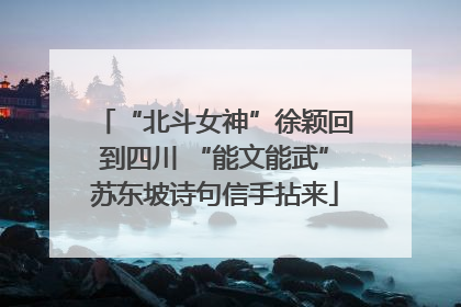 “北斗女神”徐颖回到四川 “能文能武”苏东坡诗句信手拈来