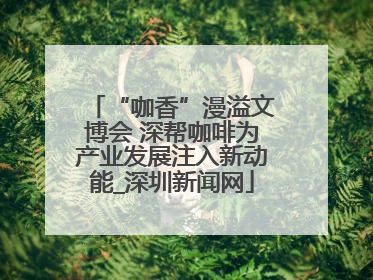 “咖香”漫溢文博会 深帮咖啡为产业发展注入新动能_深圳新闻网