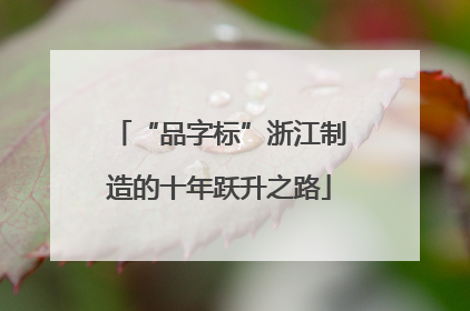 “品字标”浙江制造的十年跃升之路
