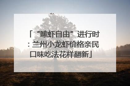 “嗦虾自由”进行时：兰州小龙虾价格亲民口味吃法花样翻新