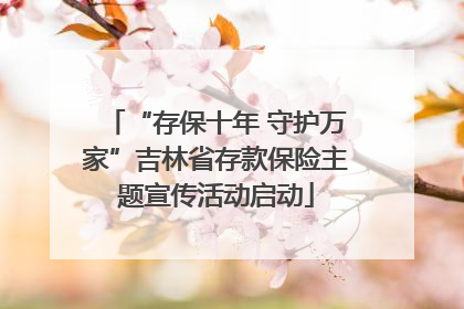 “存保十年 守护万家”吉林省存款保险主题宣传活动启动