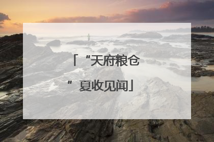“天府粮仓”夏收见闻