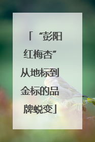 “彭阳红梅杏”从地标到金标的品牌蜕变