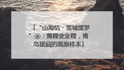“山海情・雪域援梦”⑧：青稞变金稞，青岛援藏的高原样本