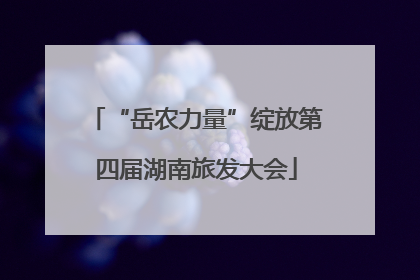 “岳农力量”绽放第四届湖南旅发大会
