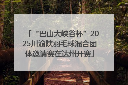 “巴山大峡谷杯”2025川渝陕羽毛球混合团体邀请赛在达州开赛