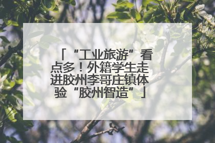 “工业旅游”看点多！外籍学生走进胶州李哥庄镇体验“胶州智造”