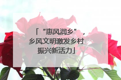 “惠风润乡”，乡风文明激发乡村振兴新活力