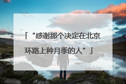 “感谢那个决定在北京环路上种月季的人”