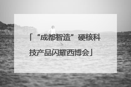 “成都智造”硬核科技产品闪耀西博会