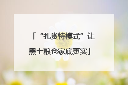 “扎赉特模式”让黑土粮仓家底更实