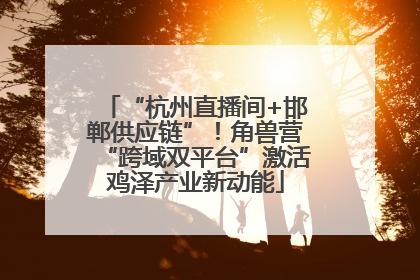 “杭州直播间+邯郸供应链”！角兽营“跨域双平台”激活鸡泽产业新动能