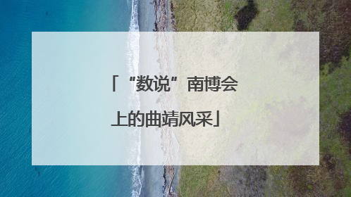 “数说”南博会上的曲靖风采