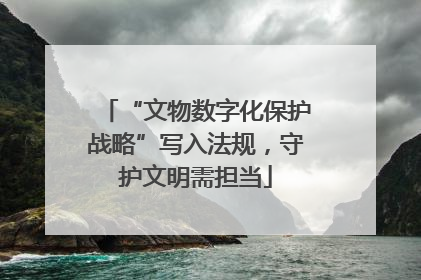 “文物数字化保护战略”写入法规，守护文明需担当