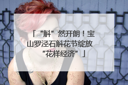 “斛”然开朗！宝山罗泾石斛花节绽放“花样经济”