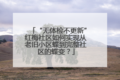 “无体检不更新”红梅社区如何实现从老旧小区蝶到完整社区的蝶变？