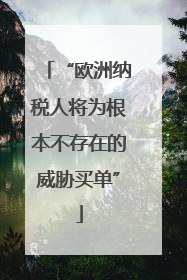 “欧洲纳税人将为根本不存在的威胁买单”