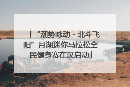 “潮势咏动・北斗飞阳”月湖迷你马拉松全民健身赛在汉启动