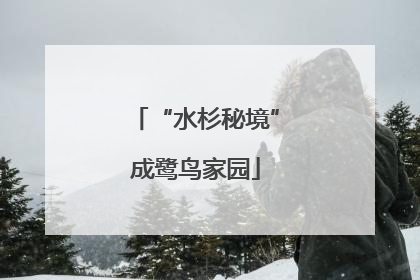 “水杉秘境”成鹭鸟家园