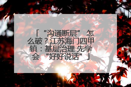 “沟通断层” 怎么破？江苏海门四甲镇：基层治理 先学会 “好好说话”