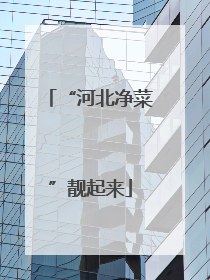 “河北净菜”靓起来
