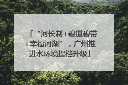 “河长制+碧道碧带+幸福河湖”，广州推进水环境提档升级