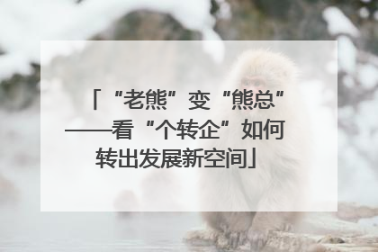 “老熊”变“熊总”——看“个转企”如何转出发展新空间