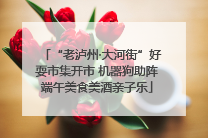 “老泸州·大河街”好耍市集开市 机器狗助阵端午美食美酒亲子乐